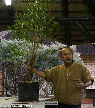 Robert and Bottle Brush tree